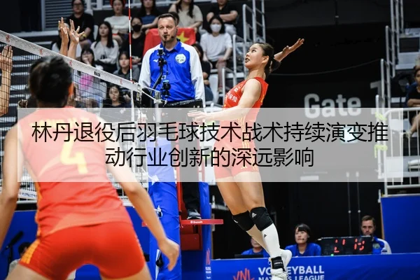 林丹退役后羽毛球技术战术持续演变推动行业创新的深远影响