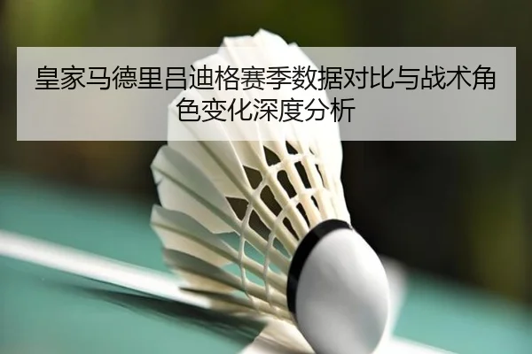 皇家马德里吕迪格赛季数据对比与战术角色变化深度分析